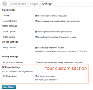 A custom section for your plugin's option