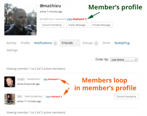 Members loop in member's profile : friends