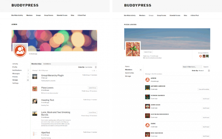 Twenty Seventeen Theme · BuddyPress Codex