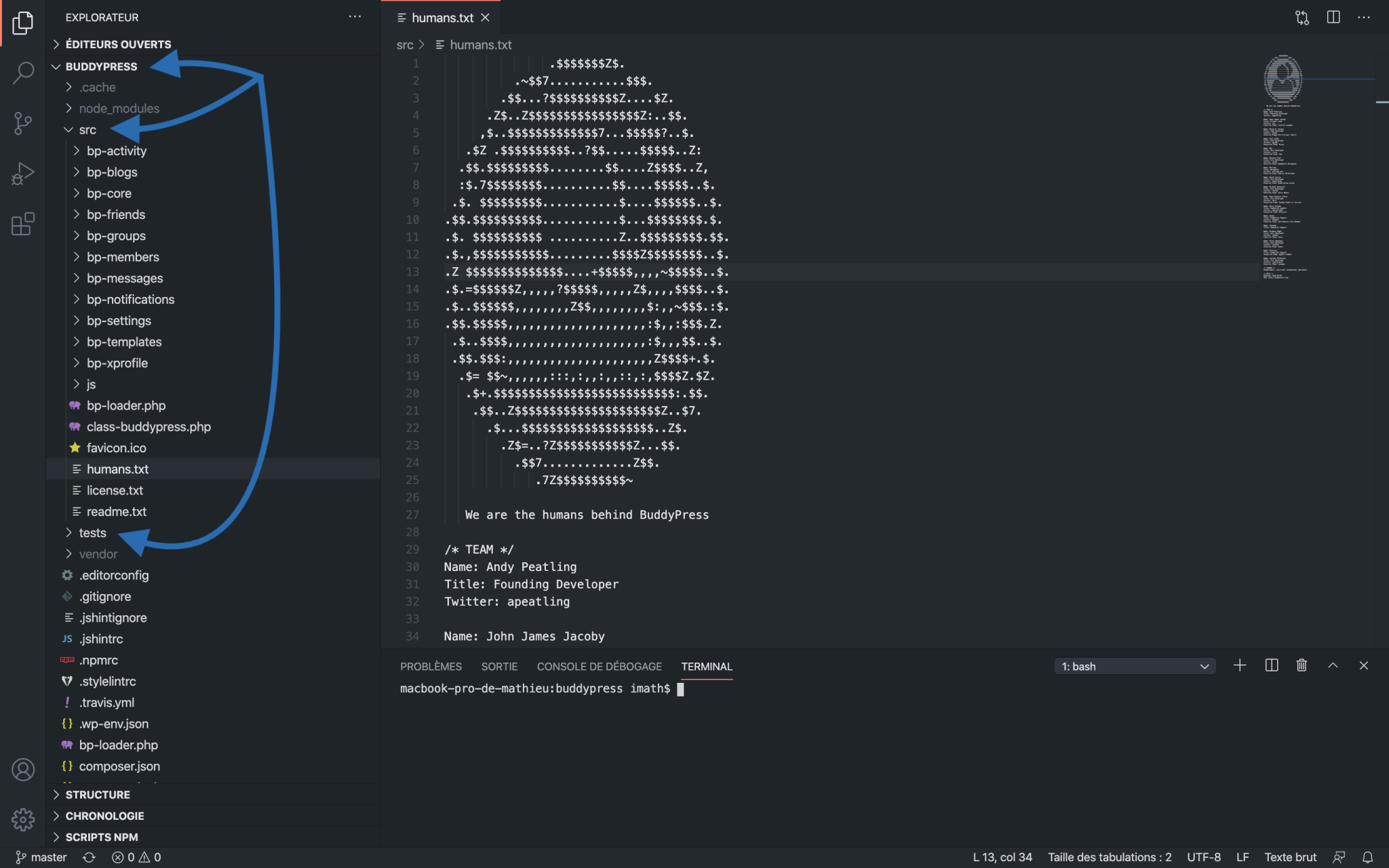 Contribute with Code · BuddyPress Codex